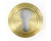 euro-profile-escutcheon-with-reeded-rose-53mm-x-10mm-satin-brass