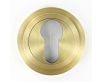 euro-profile-escutcheon-with-stepped-rose-53mm-x-10mm-satin-brass