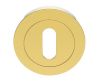 Standard Profile Escutcheon - Polished Brass