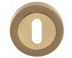 Standard Profile Escutcheon - Satin Brass