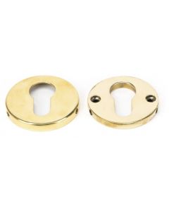 Regency Euro Profile Escutcheon - Concealed Fixed - Aged Brass Unlacquered