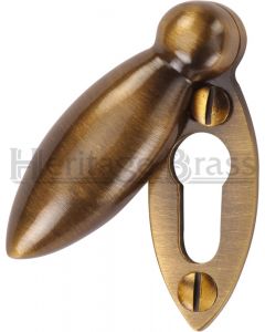 Covered Oval Escutcheon - Antique Brass